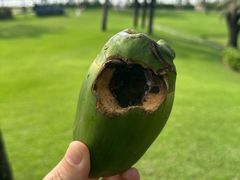 -海南清水湾莱佛士酒店