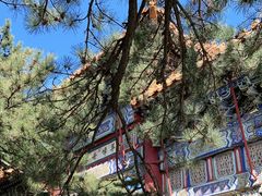 -潭柘寺景区