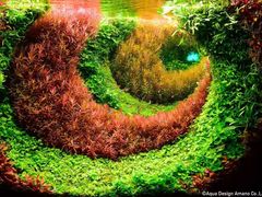 -华声天桥民俗文化园