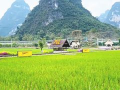 -明仕田园