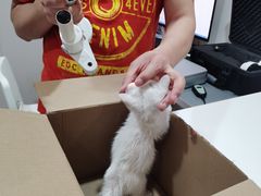 -立德动物医院·24小时中心(番禺区院区)