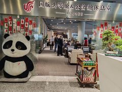 -虹桥机场国航贵宾室v8