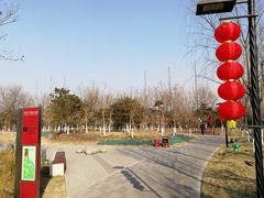 -东升文体公园