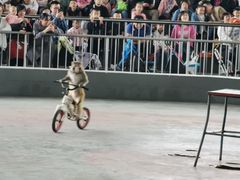 -石家庄市动物园