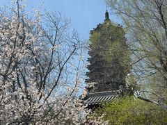-高尔山公园