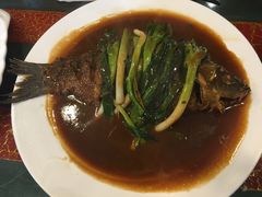 -丁老爷子苏香圆