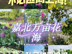 -嘉北郊野公园
