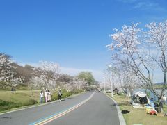 -羊山湖公园