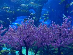 -上海海昌海洋公园