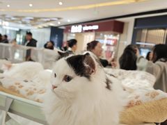 -成都银泰城