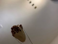-喜茶(佛山顺德大良东乐路店)