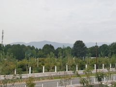 -那家山城(樱桃园店)