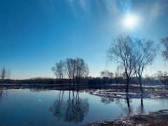 -大兴滨河森林公园