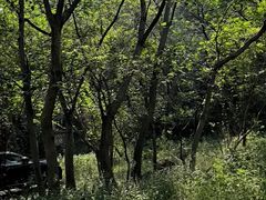 -南山风景名胜区