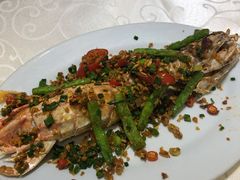 -凤城礼记鱼翅海鲜酒家(新马路总店)