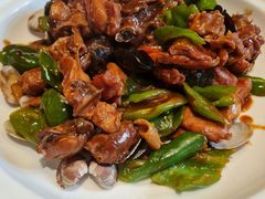 -1937青岛老味道·海肠捞饭·青岛菜(大鲍岛栈桥店)