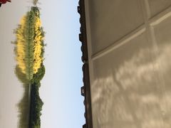 iphone_upload_pic-大湾区中央湿地公园