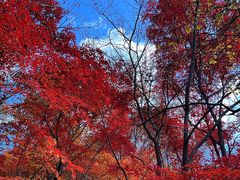 -本溪老边沟风景区
