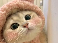 -曼乐辰餐厅(中庚漫游城店)