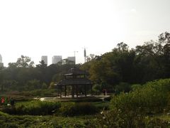 -广西壮族自治区药用植物园