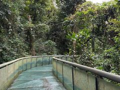 -七仙岭温泉国家森林公园