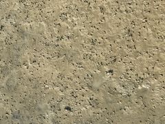 -北海金海湾红树林生态旅游区