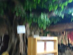 -御池园(顾村公园店)