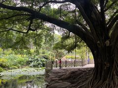 -晓港公园