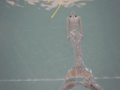 -上海潜殿潜水中心