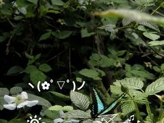-大蜀山国家森林公园
