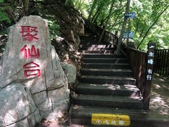 -天女山森林公园
