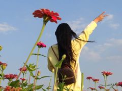 -皇粮浜湿地公园