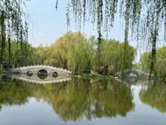 -毛遂公园