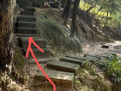 -南山植物园
