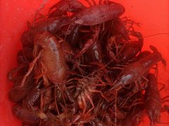 -星伦多自助料理(爱琴海店)