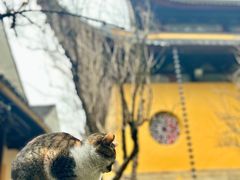 -西园戒幢律寺