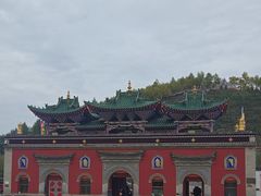 -塔尔寺-菩提树