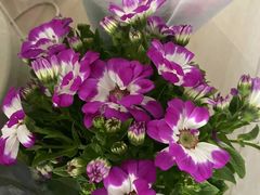 -三旗百汇商品城