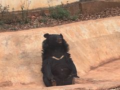 -昆明动物园