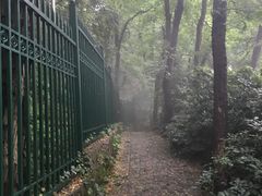 -紫金山天文台