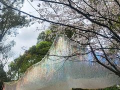 -南山植物园