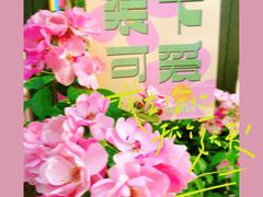 -奈雪的茶(中粮祥云小镇店)