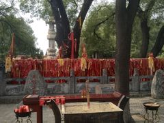 -大槐树寻根祭祖园