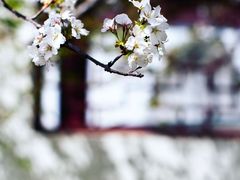 -堤角公园