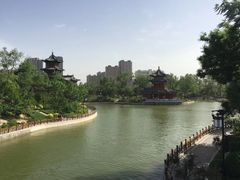 -迎泽公园