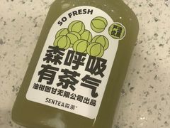 -森茶(湛江万达店)