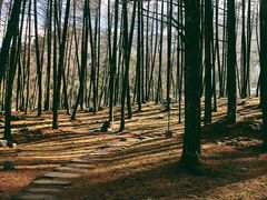 -硗碛藏寨·神木垒景区