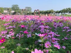 -迪茵湖田家舍生态农场