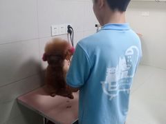 -安安宠物医院(情缘分院)