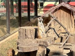 -大连森林动物园